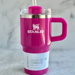 Stanley Punch Shimmer Tumbler with Handle 20 oz